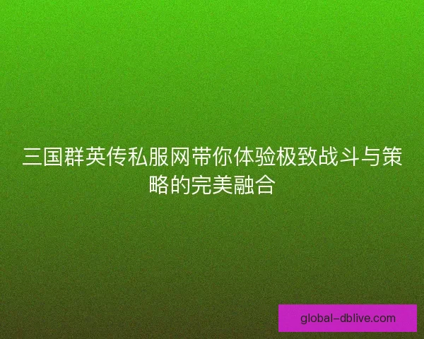 三国群英传私服网带你体验极致战斗与策略的完美融合